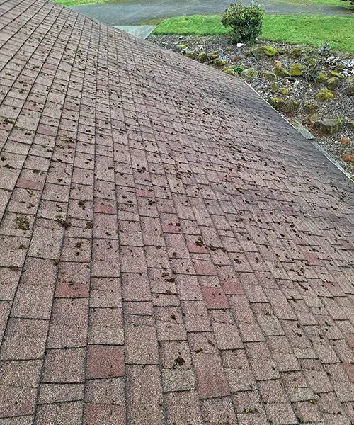 Roof Cleaning in Seattle 